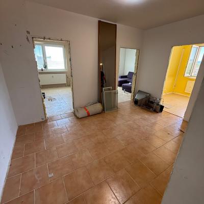 Img 0708
