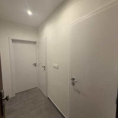 Img 0940